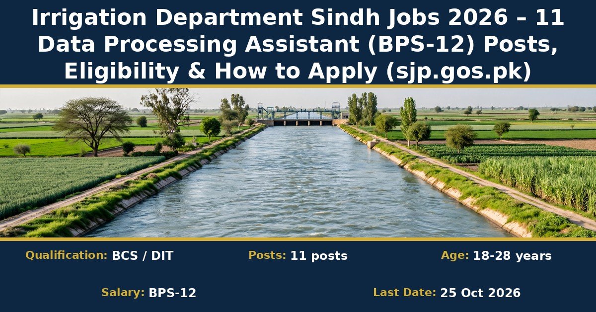 Irrigation Department Sindh Jobs 2026 – Data Processing Assistant advertisement